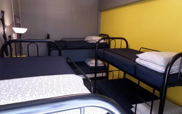 The Bunk by Olive - photo 3