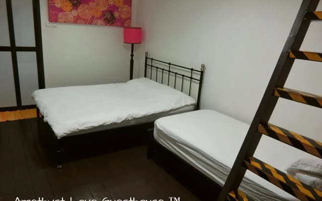 Amethyst Love Guesthouse - photo 3