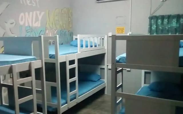 2Coconuts Hostel - photo 2