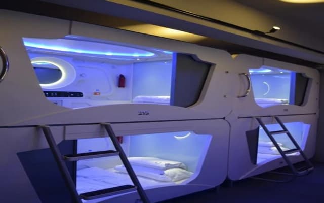 Lavish Capsule - photo 4