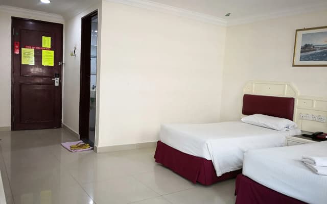 Carlton Star Hotel - photo 4