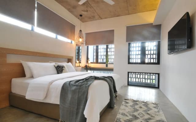 The Nest House - photo 4