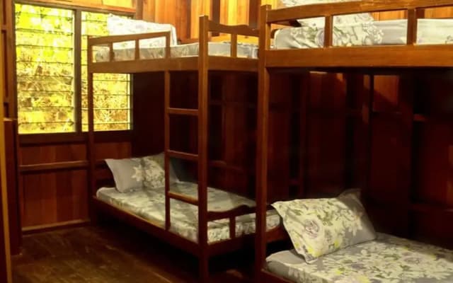 Kinabatangan Wildlife Lodge - Hostel - photo 3