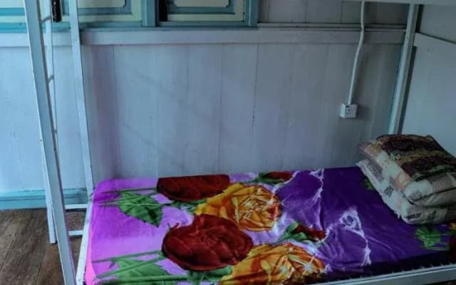Tipsy Tiger Party Hostel - photo 5