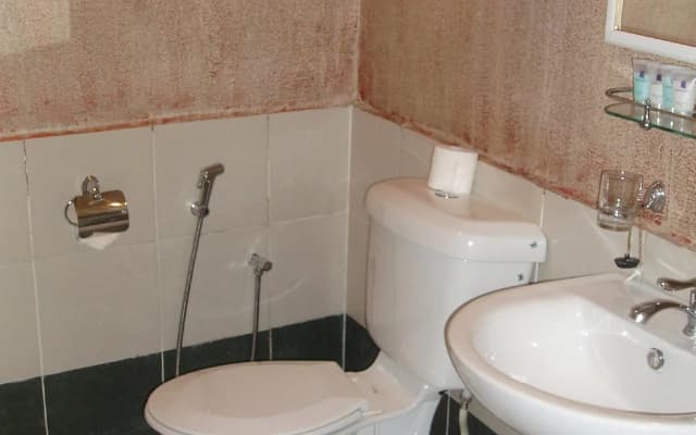 Anum Hotel - photo 4