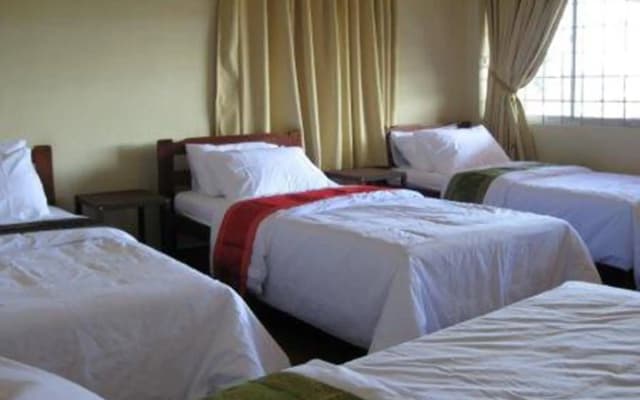 Beds Guesthouse - photo 3