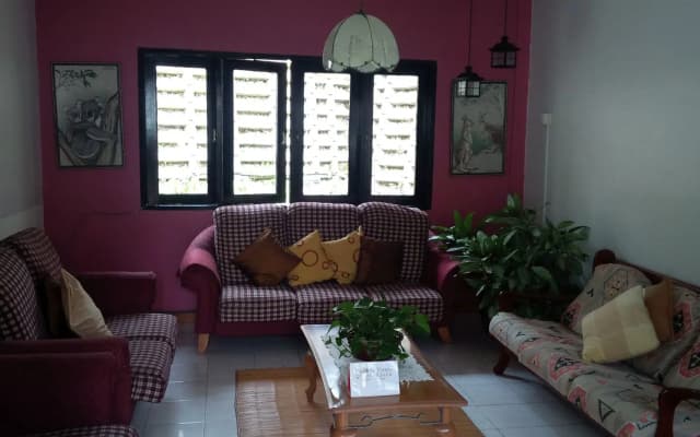 Cameronian Inn - photo 3