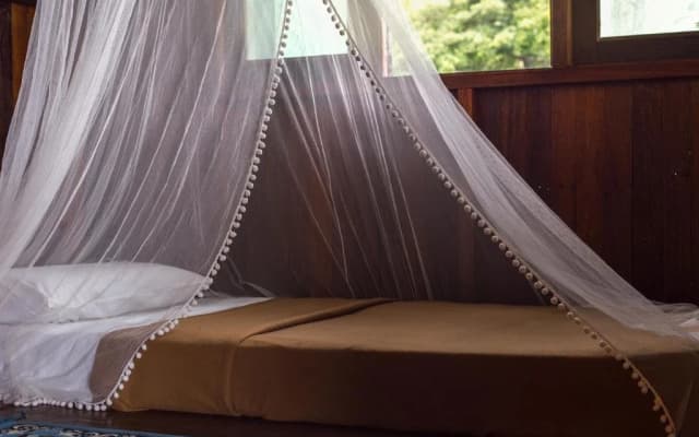 Wild Pasir Panjang Villas - photo 4