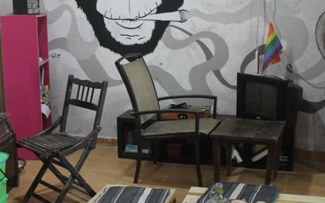 Sweet Monkey Backpacker Hostel - photo 4