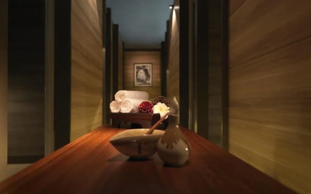 Plaza Premium Lounge (Wellness Spa-KLIA) – Private Suite - photo 2