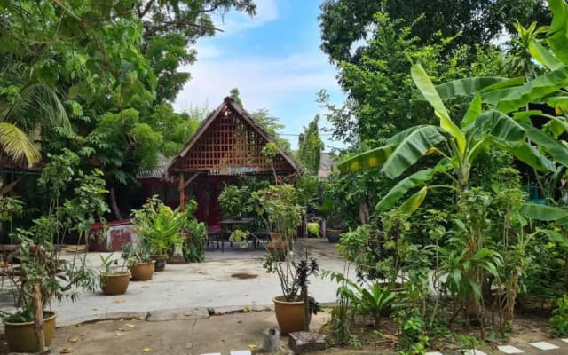 Gecko Guesthouse Langkawi - photo 2