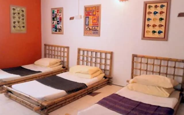 Botanic Hill Lodge - photo 3