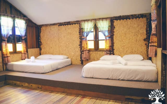 The Acacia Retreat - photo 4