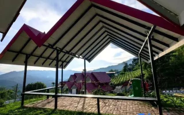 Kundasang Mount Garden - photo 3