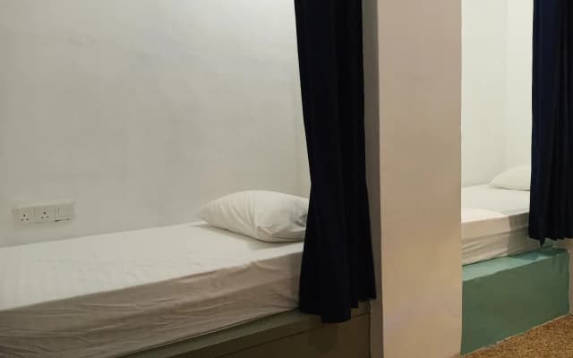 Beds In Garden Hostel - photo 3