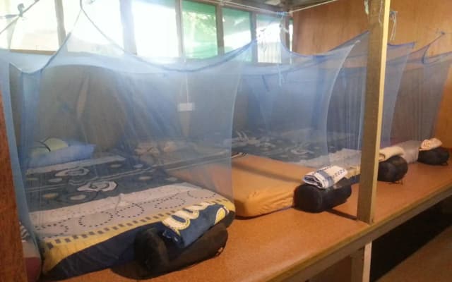 Monkey Tops River Lodge - photo 2