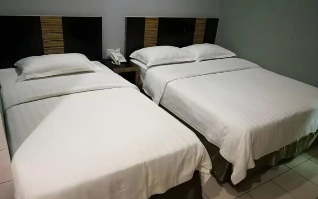 Hotel Traveller - photo 4