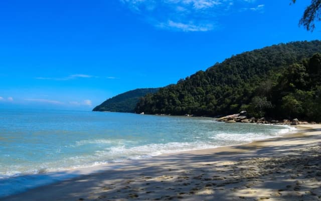 Jma Ferringhi Beach Hotel - photo 5