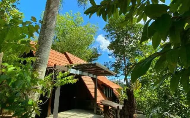 Langit Rimba Resort - photo 2