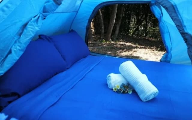 Tropical Eco Camping - photo 3
