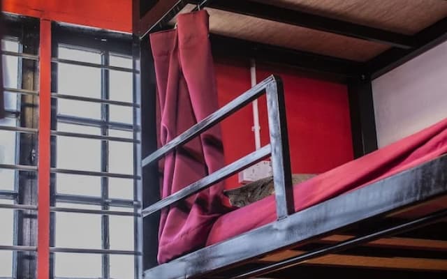 House of Lion Hostel and Guesthouse - photo 3