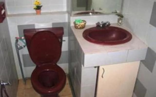 The University Inn - photo 4