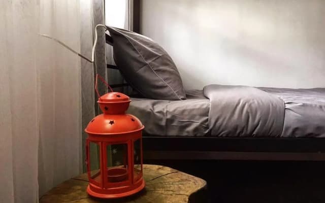 House Of Throne Hostel - photo 5