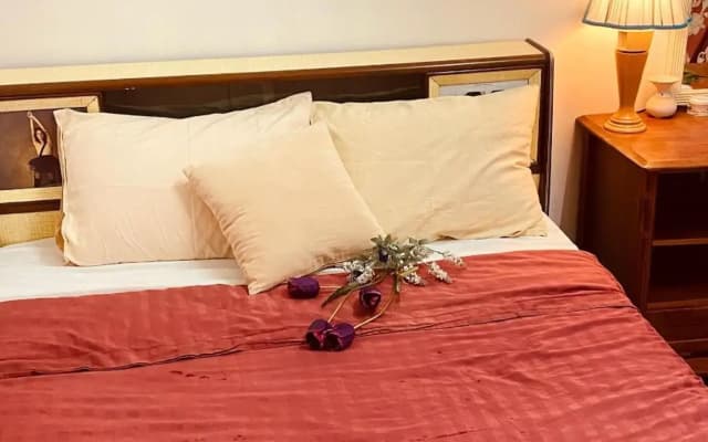 Angel Spa Garden's Homestay - photo 3