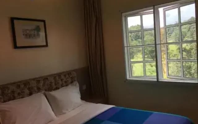 CH Green Stay Resort Apartment - photo 3