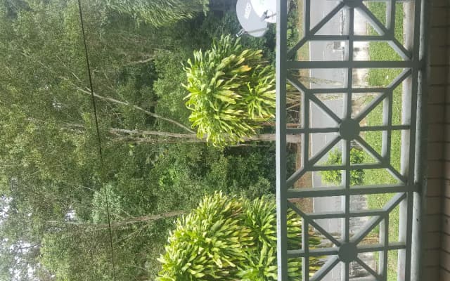 Selesa Resort - photo 2