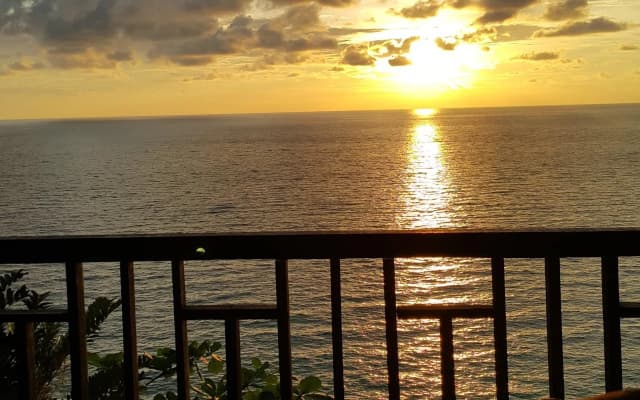 Sunborneo Island Resort - photo 2