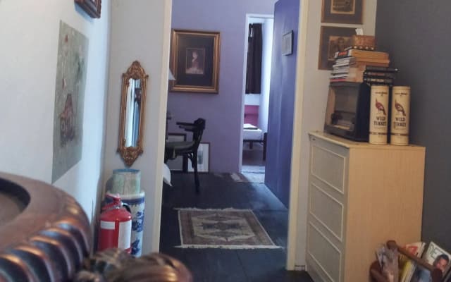 Traveller Homestay - photo 2