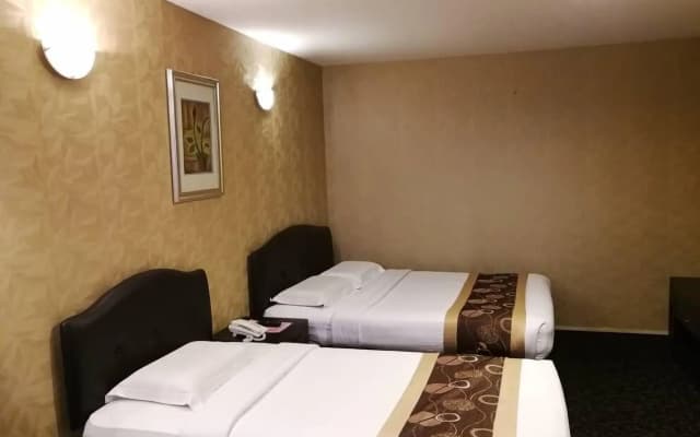 Greenlast Hotel - photo 5