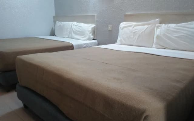 Lotus Inn Hotel - photo 5