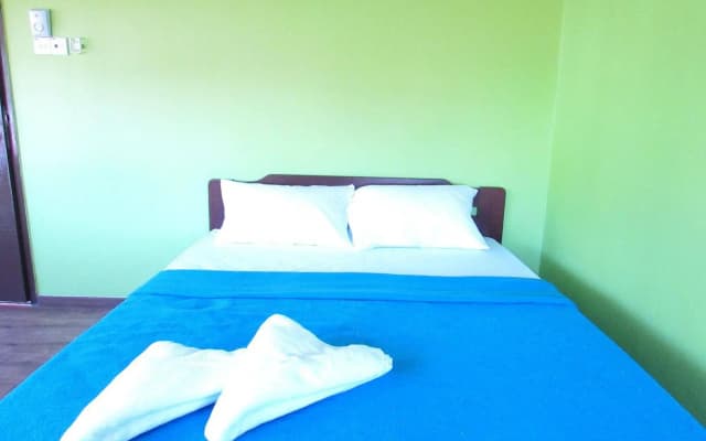 Fat Rhino Hostel - photo 3