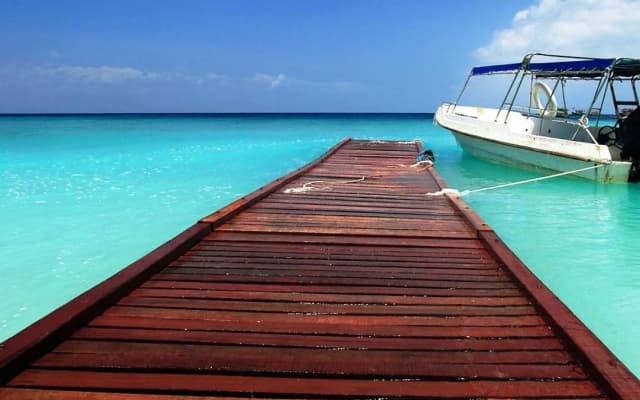 D'Coconut Lagoon - photo 4