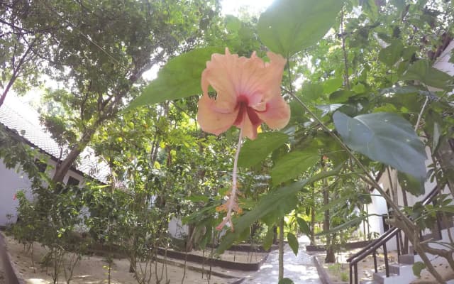 Perhentian Tivoli Inn - photo 2