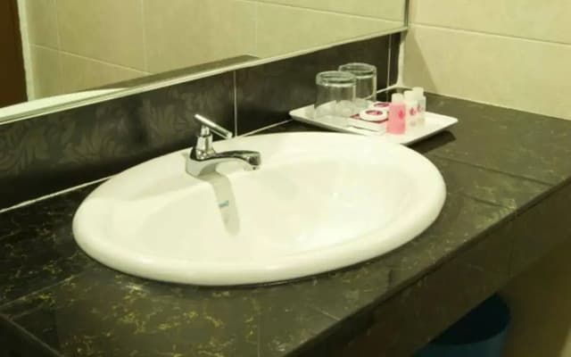 Syaz Meridien Hotel - photo 4