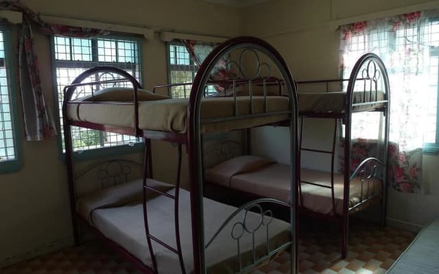 De' Native Guest House - Hostel - photo 4