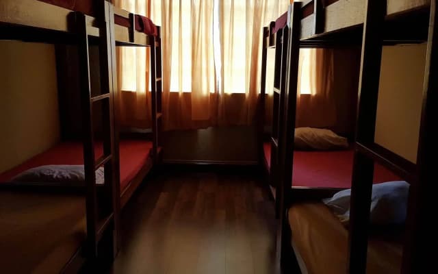 X-Plorer Backpackers - Hostel - photo 2