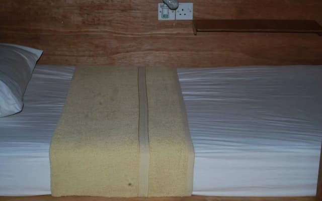 Gibbon Guesthouse - photo 4