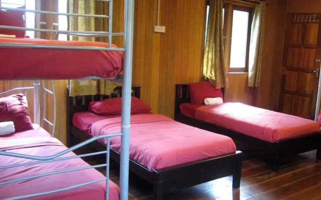 The Roots Eco Resort - photo 2