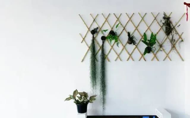 leisurecorner 25 - photo 2