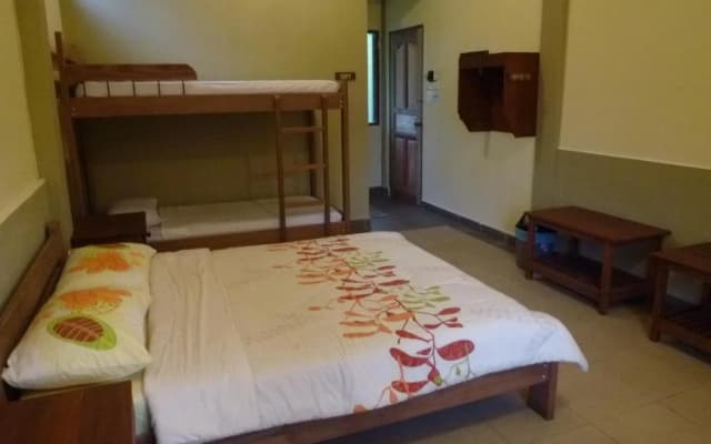 Sepilok B&B - photo 4