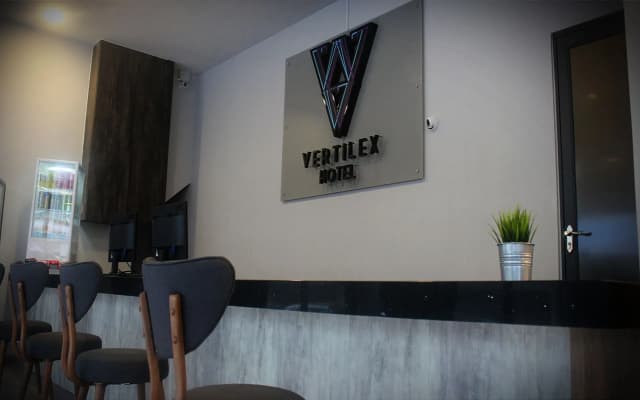 Vertilex Hotel - photo 2