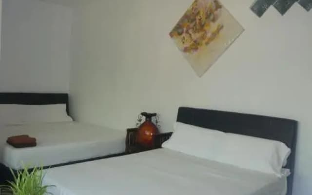 Hotel Paka INN - photo 5