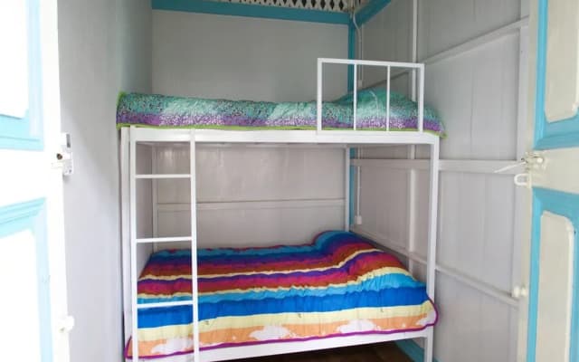 Tipsy Tiger Party Hostel - photo 2