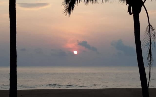 Tamara Resort - photo 5