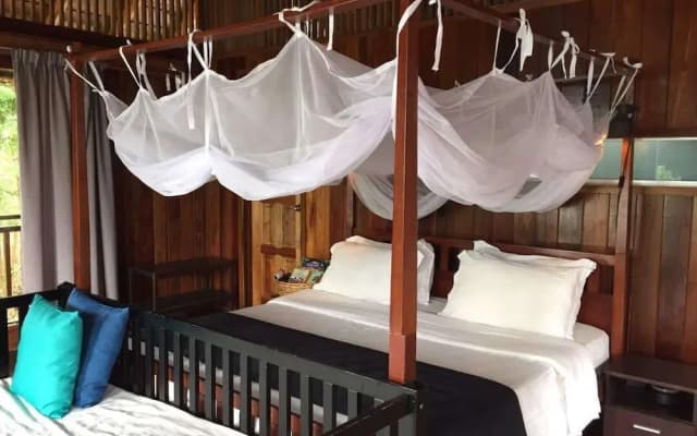The Shorea - photo 2