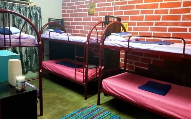 BOBI's Cafe Backpackers Hostel - photo 2
